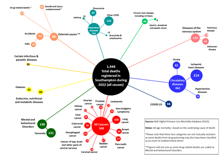 Mortality bubble chart showing total deaths in Southampton