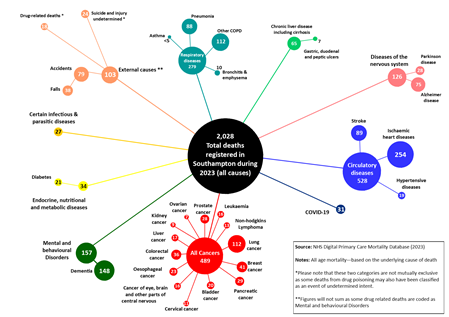 Mortality bubble chart showing total deaths in Southampton