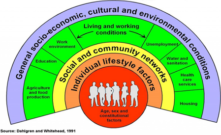 Wider determinants of health