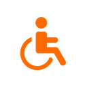 Disability orange